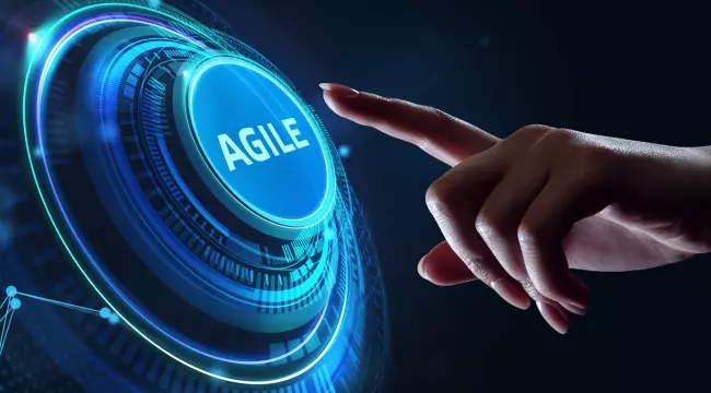 Agile Software Development